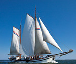 Hollandia