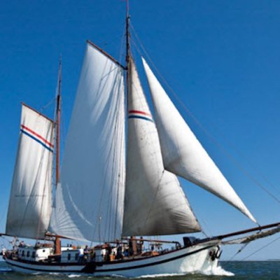 waddentocht-hollandia-500x500